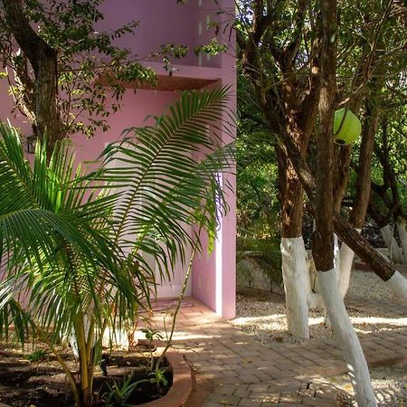 Casa Rosse Villa Tulum Exteriör bild